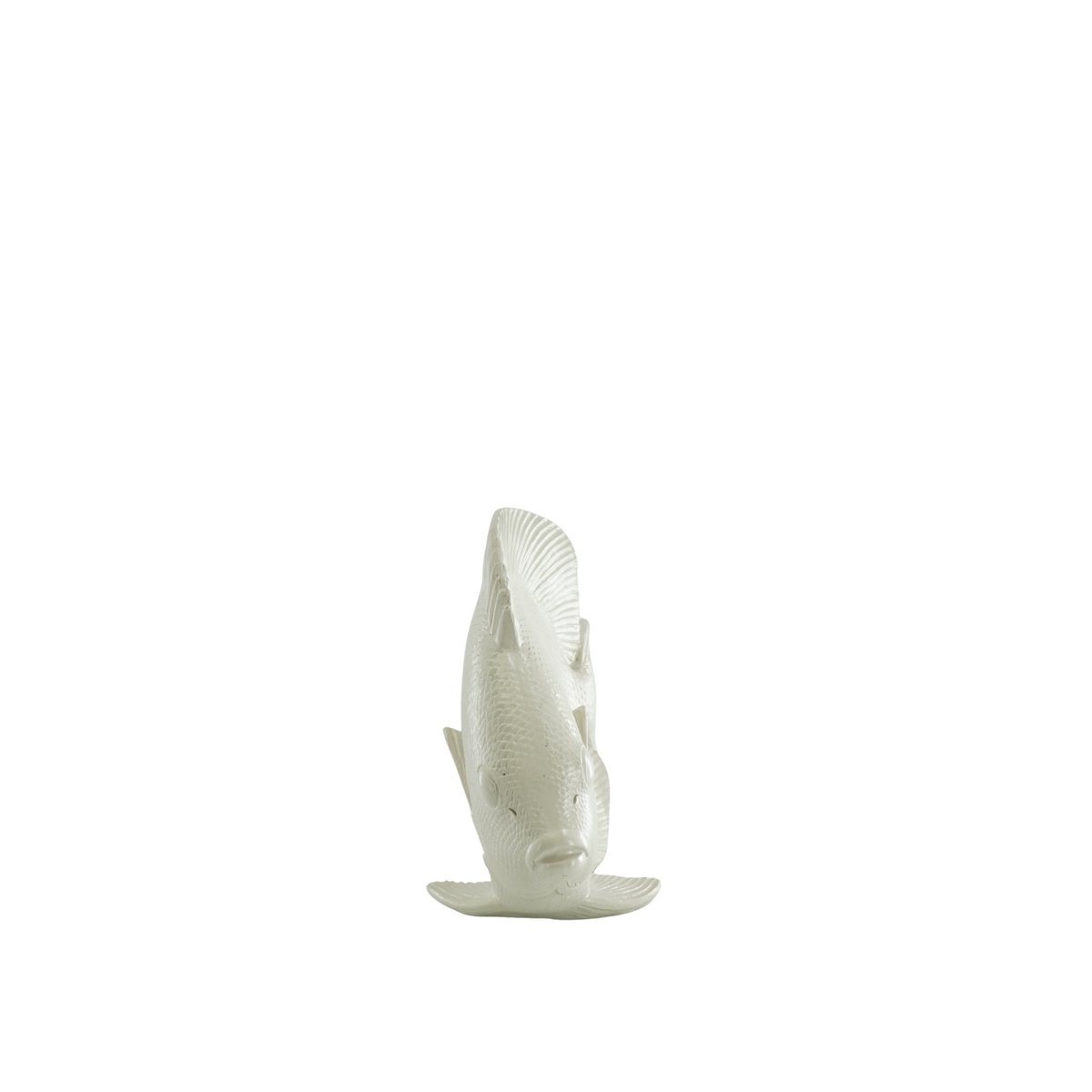 Ornament Platte Vis Polyresin Beige 19,5x10,5x16cm
