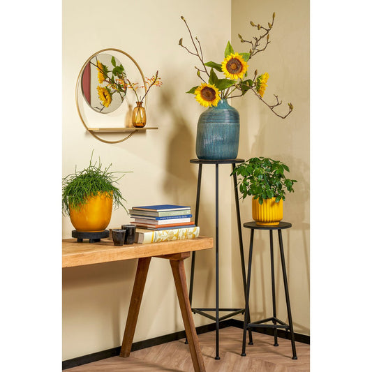 Plantentafel H80 x Ø30 cm Metaal Zwart